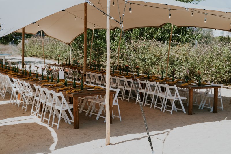 Long table set under the olive trees at Villa Palmview — a group moment in the winter sun