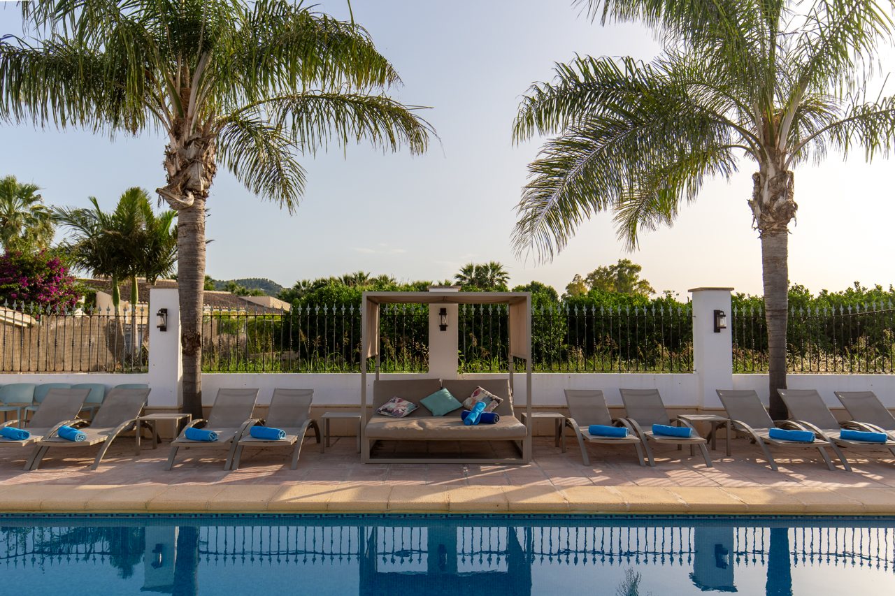 Row of sun loungers along the pool between the palms